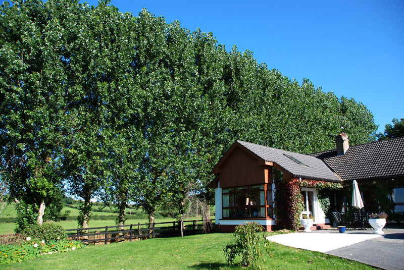 The Bungalow Farmhouse Clomantagh 외부 사진